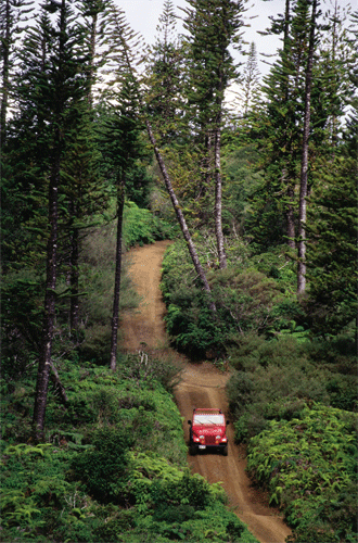 Munro Trail