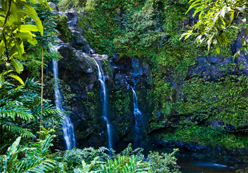 Waterfalls Hana Highway