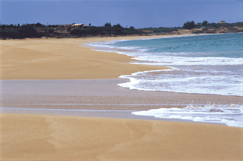 Papohaku Beach